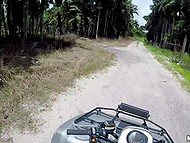 Driver wants to feel hitchhiker's body so he picks up girl and makes her suck off on the move 4