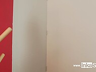 Latina specially chose such a revealing outfit so that the guest couldn't resist and fucked her 4