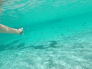 Tourist films a naked girl with shaved pussy underwater then jerks off on the beach 4