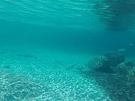 Tourist films a naked girl with shaved pussy underwater then jerks off on the beach 5