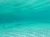 Tourist films a naked girl with shaved pussy underwater then jerks off on the beach 7