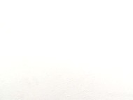 Provocative chick consumes dick that disappears in her back door and comes out again 8