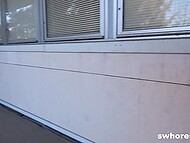 Driver doesn't waste the chance to have quick threeway in public with young hooker and her mature partner 6