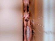 Black and white guys hit on Arab woman with big tits and tattoos for double penetration 9