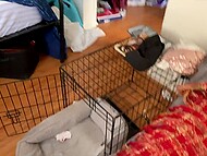 Skinny Asian minx with perky tits brings excited BF inside the bedroom to have ardent sex with him 4