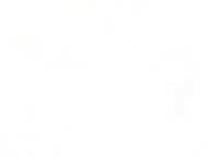 Amateur Asian cutie poses for the camera and demonstrates the way she uses her sex toys  5