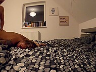 First boy puts several sex toys in the Polish chick and then shares a bed with her 10