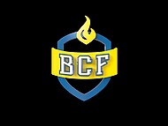 Two blonde hunks and blonde chick enjoy bisexual threesome fucking action on camera 5