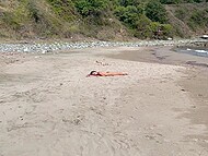 Slender babe poses on the deserted beach and gives blowjob to her cameraman 4