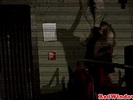 Dude visited famous Red Lights district in Amsterdam and found a professional hooker to copulate with 6