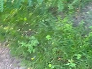 During a morning walk in the forest gorgeous blondie with big boobs and gives an amazing POV blowjob 7