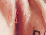 Homemade close-up video of the filthy wife having her twat filled with cum and fingered by her hubby 9