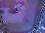 Pretty blonde with perky tits exposes her creamy pussy when sticking dildo into it on the chair 4