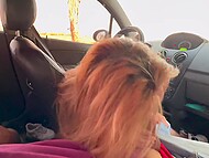 Two girlfriends invited a guy for a ride in a car and pleased him with a blowjob during the trip 11