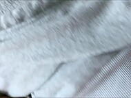 Young sister with glasses offered her brother a blowjob in POV and let his dick into trimmed pussy 10