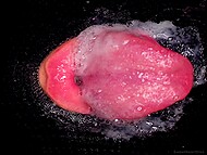 MILF with juicy lips seductively sucks dick in close-up, provoking him to ejaculate in her mouth 11