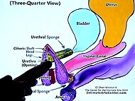MrPussyLicking presents an exclusive SQUIRTING TUTORIAL 4