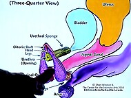 MrPussyLicking presents an exclusive SQUIRTING TUTORIAL 5