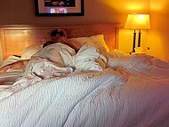 Tiffany Leiddi greeted the morning with passion and desire. 4