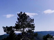 Watch French whore Alice Leo blowing a man and taking his dick from behind in the public park 4