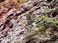 Watch French whore Alice Leo blowing a man and taking his dick from behind in the public park 6