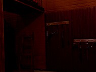 Milana Milka's lesson with Monica Foxx, her seductive stepmom, and a horny stud 9