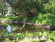 Laura Quest seeks thrills and wilderness in nature when copulating in the tent 8