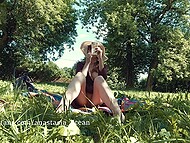 Anastasia Ocean meets a stranger when wandering through public parks without underwear 9