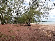 In Tami Tsunami's Bahamas vacation, she ran into an old schoolmate and lured him on fucking 9