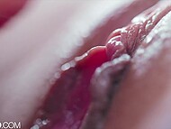 Vanna Bardot tastes Emily Willis' squirt during lesbian intercourse 10