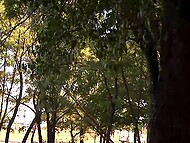 Shameless chick walks all naked on the streets of Brazil 9