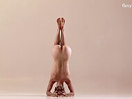 Sweet slim teen Alecia Fox strips to expose her flexible body and hairy muff 9