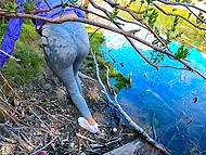 Amateur couple Pure PleasureX invites you to find sexual pleasure at the shore 7