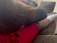 Amateur chick from Fijii wildly satisfies her black lover with a fantastic blowjob 5