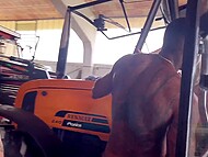 Two hot guys give a helping hand to Italian babe Beatrice Segreti in the garage 8