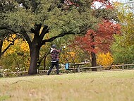 shameless yoga babe flashes nudity in city park, Cosmic Kitti exposing breasts 10