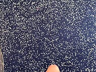 Lecherous BBW cougar forgets about cleaning the house and seduces her son's friend on having a kinky quickie 4