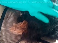 Goth chick Reyna Tirana submits to a mating with a feline-clad femboy, indulging in post-coital kinks 9