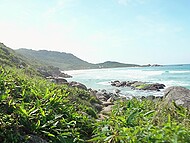 Lecherous cutie Sammm Next Door blows her man's cock on the nudist beach  on Brazilian shores 4