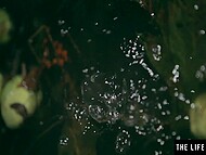 Emily J indulges in extraordinary pleasures with a spooky man and a corncob 7