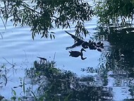 Liza Virgin had a wild encounter in a public place: steaming passion with a stranger 11