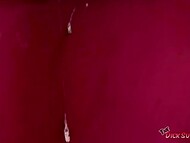 Teen chick with a tattoo on her pussy Erin Stone shows the way she likes to suck a cock 5