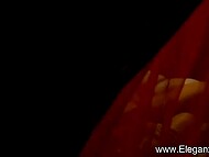 Passionate lovers from India show the ways they like having sex in classy positions 5