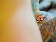 Tattooed pornstar Anuskatzz receives a hard anal from her client, leaving the scene soiled with an ATM and a dripping facial 9