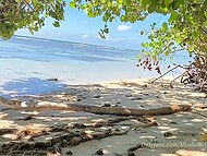 Curvy Dominican whore Deliri Santos submits to a revealing public fuck 7