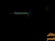 There are few people in the street at night, so the girl can easily flash private parts 9