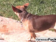 Adorable brunette Tia Cyrus comes up to sexy Vanessa Cage and the babes lick pussies by the pool 11